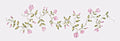 #410 Sweetpea Vine Stencil