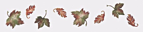 #835 Fall Leaves Stencil
