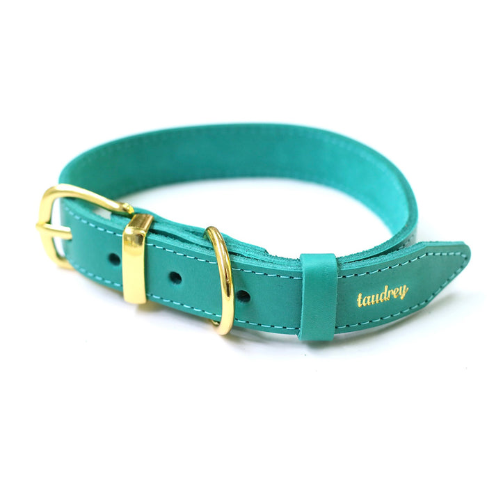 A Girl’s Best Friend Dog Collar
