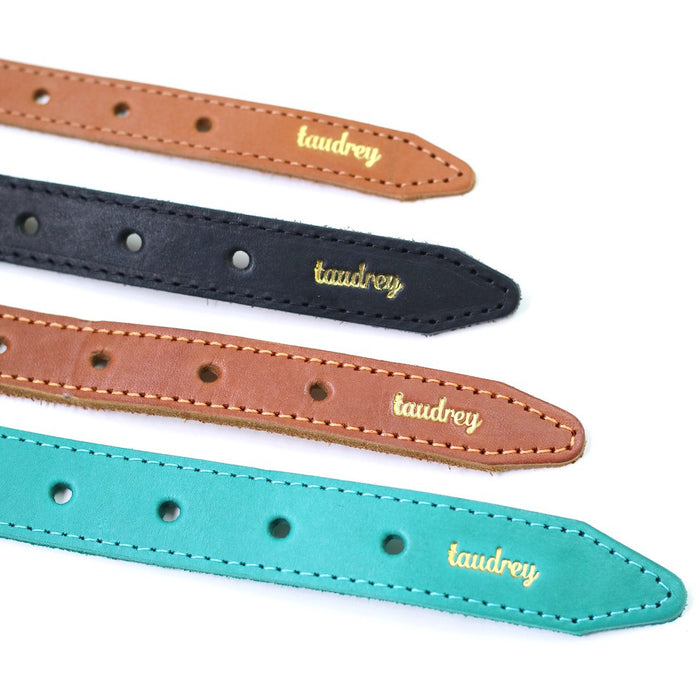 A Girl’s Best Friend Dog Collar