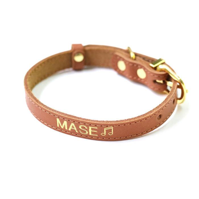 A Girl’s Best Friend Dog Collar