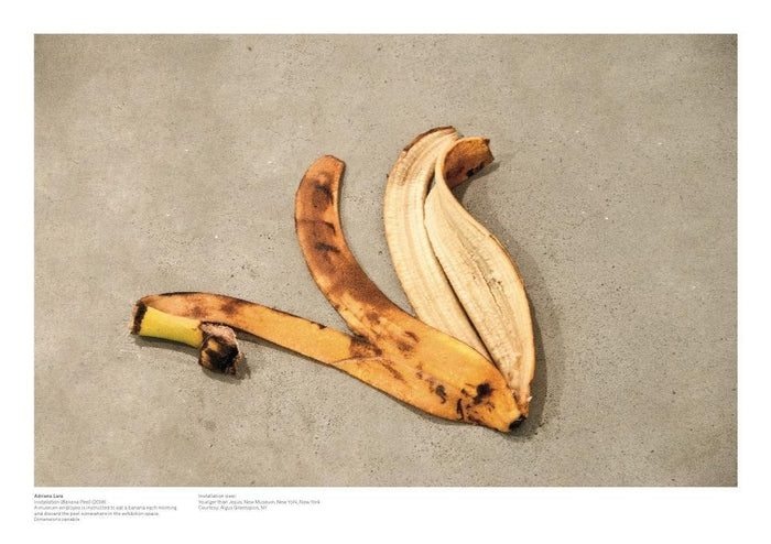 A POOR COLLECTOR'S GUIDE TO BUYING GREAT ART