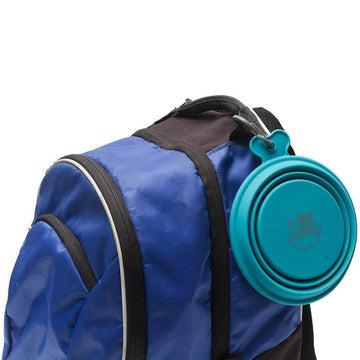 Blue Collapsible Bowl