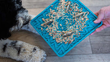 Blue Lick Mat
