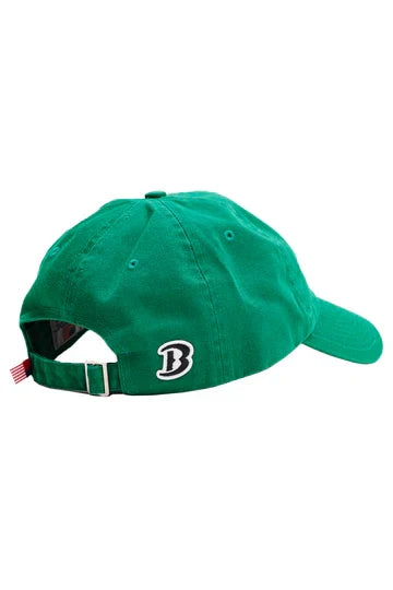 Boathouse Birds Baseball Hat - Kelly Green