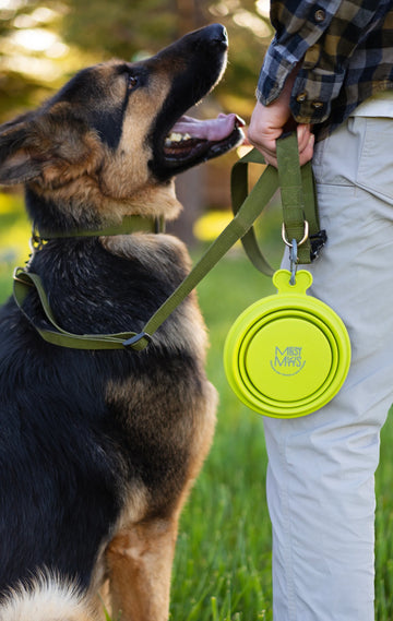 Green Collapsible Bowl