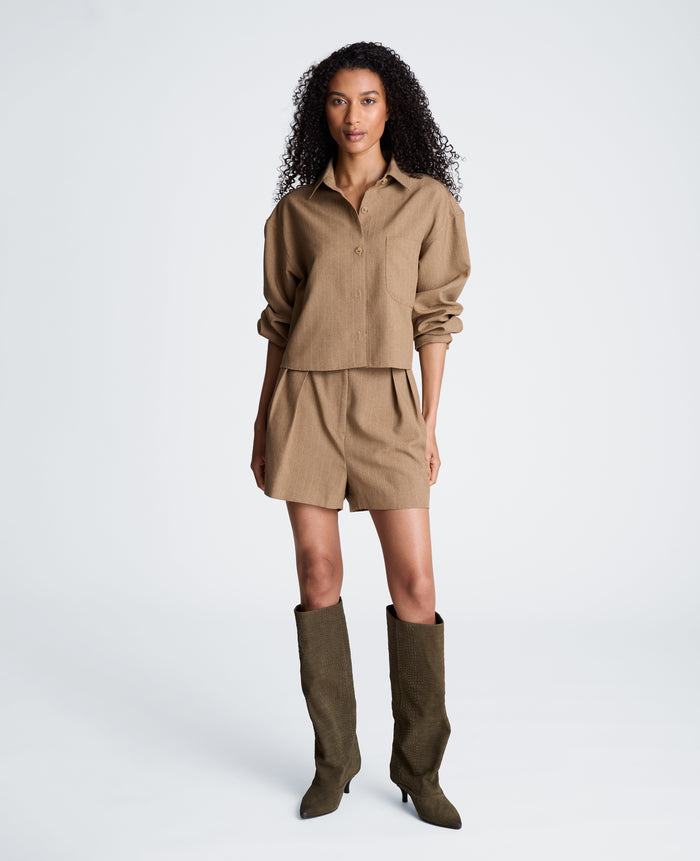 High Rise Fly Front Pleated Short