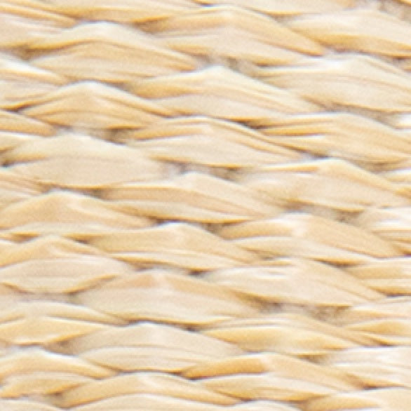 Issa Raffia Two Tone Sandal