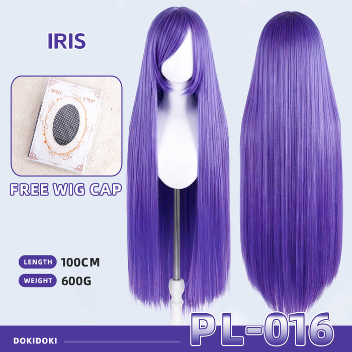 PL-016 Ver.-Ready For Ship