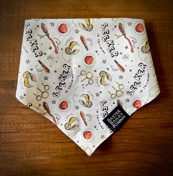 Seeker Bandana