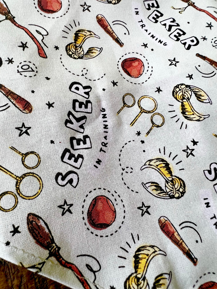 Seeker Bandana