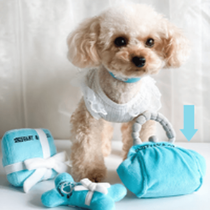 Dog Diggin Designs dog toys Sniffany Box with Bow Plush Squeak Dog Toy - 2 Sizes