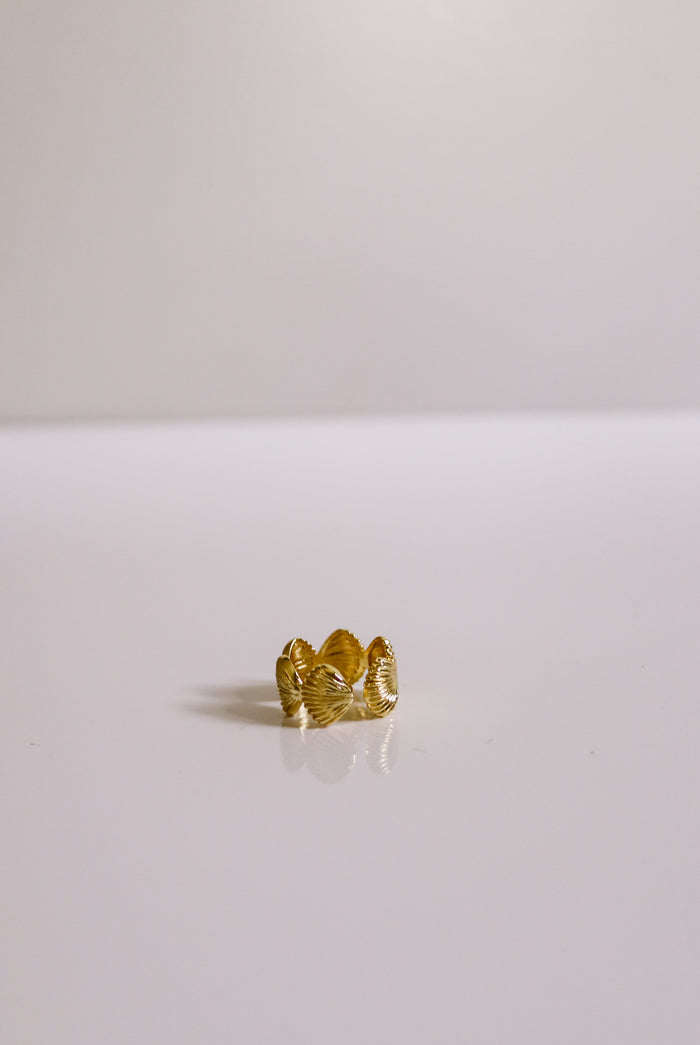 The Sandbar Ring