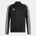 adidas TIRO 23 Training Jacket | Black | Kid's
