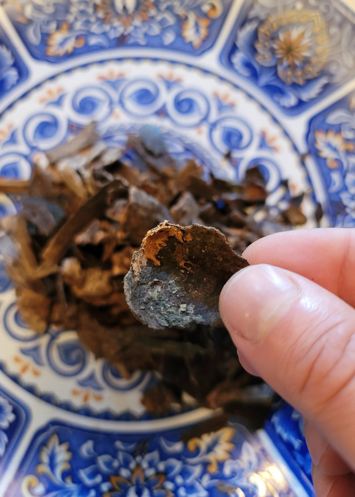 Vietnamese 100% wild, pure natural, sinking King agarwood, under the soil. - theperfumist