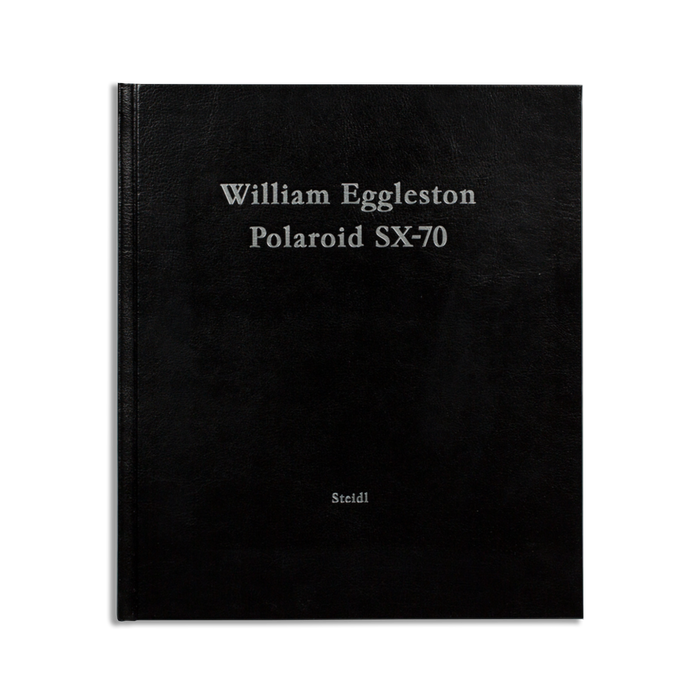 William Eggleston Polaroid SX-70