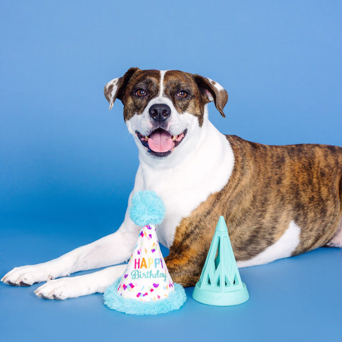 Yappy Barkday Rubber/Plush Dog Toy